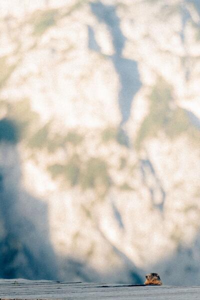 Dawn at Fertazza — photo 24