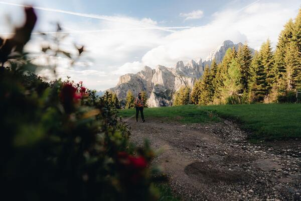 Dawn at Fertazza — photo 130