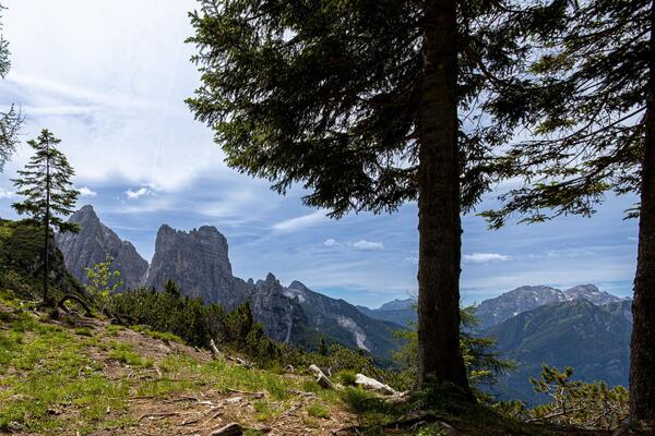 Calada — photo 3