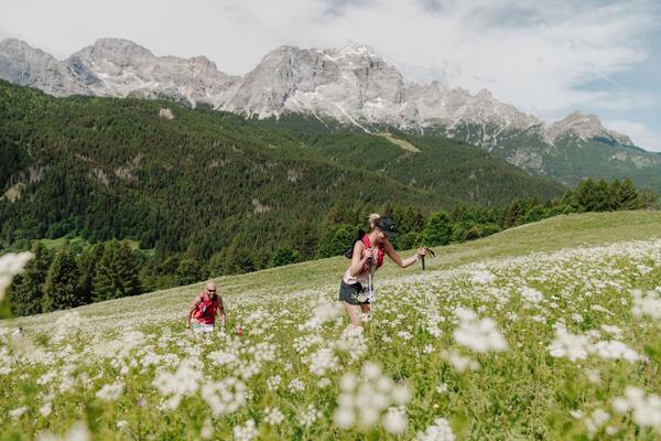 Coi and Fusine — photo 21