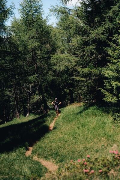 Monte Punta and Tamai — photo 124
