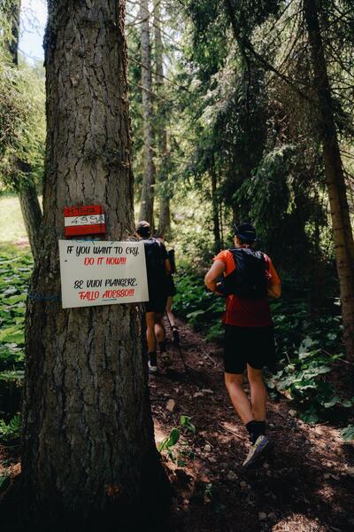 Monte Punta and Tamai — photo 129