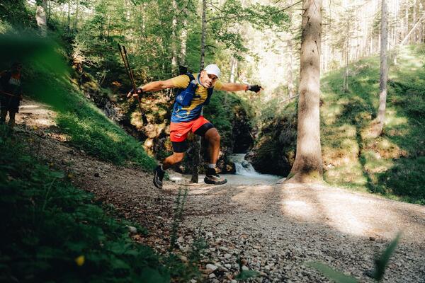 Palanche — photo 9