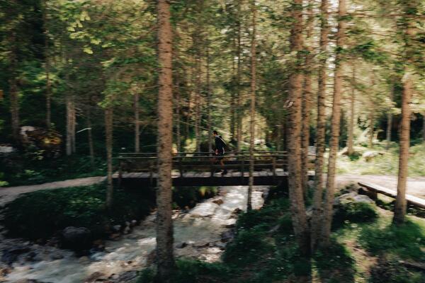Palanche — photo 34