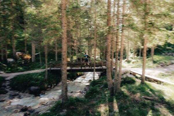 Palanche — photo 36